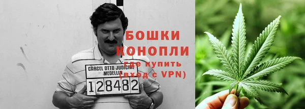 СК Белокуриха