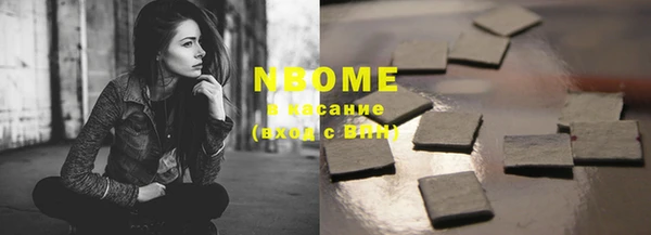 прущие грибы Белоозёрский