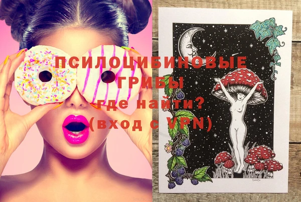 прущие грибы Белоозёрский