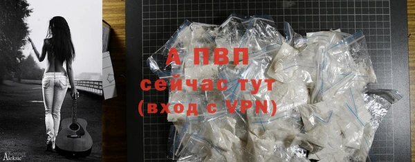 СК Белокуриха