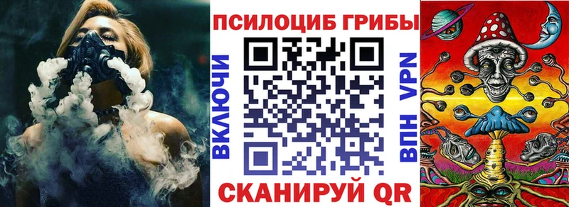 как найти закладки Салаир Галлюциногенные грибы GOLDEN TEACHER