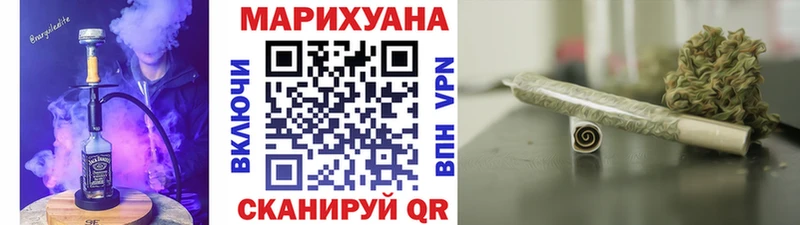 Канабис SATIVA & INDICA  Салаир 
